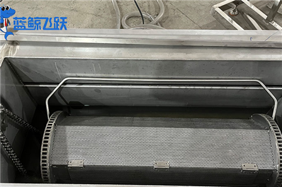 草莓视频污污污污为何发出声音？深入解析声音产生的原因与机制